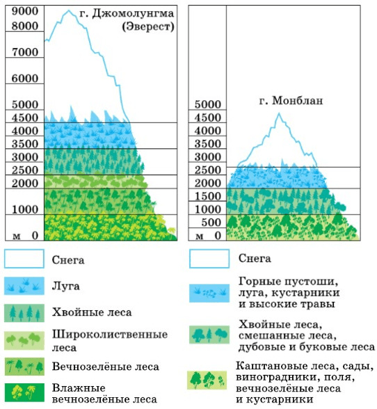 Задание рисунок 1