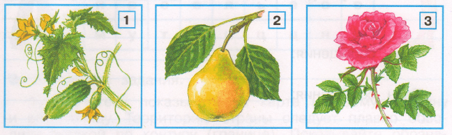 Задание рисунок 1