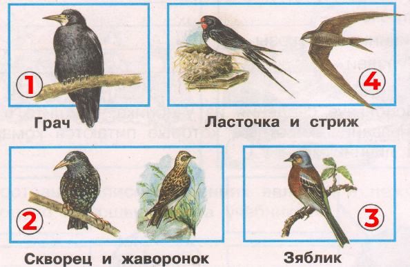 Решение рисунок 1